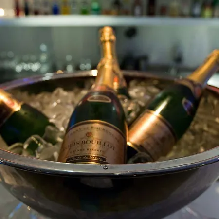 松恩会议酒店 4* Garder